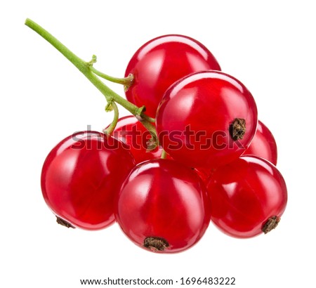 Red currant isolated. Currant red on white background. Currant red isolated. Currants on white. Currant on branch. Royalty-Free Stock Photo #1696483222