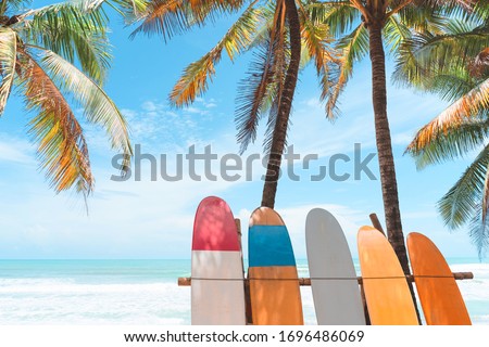 Surfboard and palm tree on beach background. Travel adventure sport and summer vacation concept. Vintage tone filter effect color style.