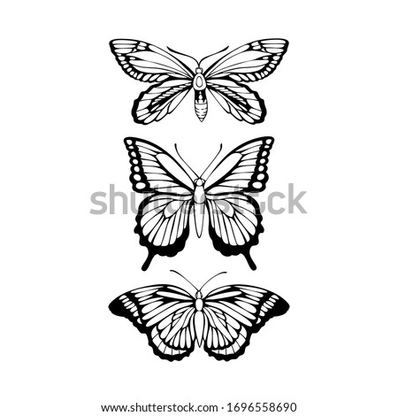 Beautiful black outline vector butterfly illustration isolated on a white background for graphic design, textile production, typography, banner, postcard, coloring book