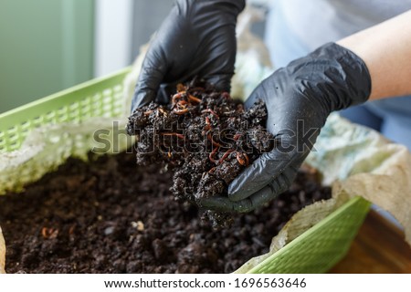 Vermicomposting or Homemade Worm Composting is method of turning home plant based garbage and kitchen food leftovers into rich organic soil fertilizer