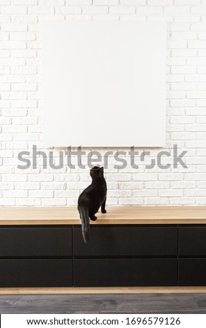 vertical large white brick wall and canvas fragment in the center with place for text. 
black cat sits on a wooden table and look at a blank poster with place for text. 
 pet pranks in home interior