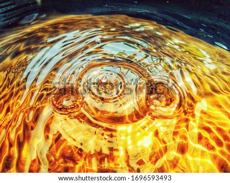 The​ golden​ light​ effected​ to​ sureface​ natural​ flower​ for graphic design. Reflection​ on​ surface​ natural​ water. Water​ drop​ for​ background. Blur abstract​ of​ surface​ water​