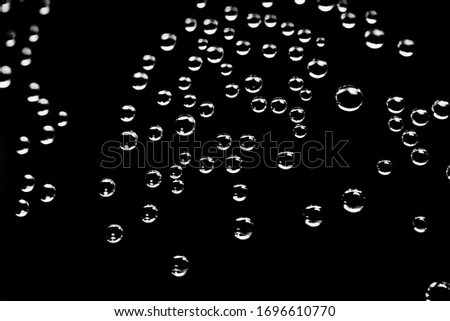 Bubbles on black background. Water bubbles isolate. Macro photo