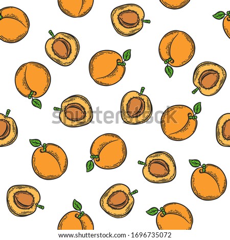 Vector  apricot  engraving seamless pattern on white background. Vintage hand drawn illustration for menu, ads