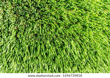 Artificial green grass or needles texture. Abstract background for design.