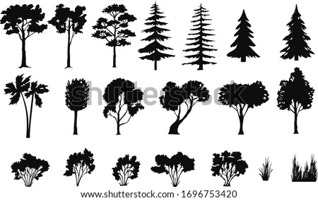 
silhouettes of trees bushes, spruce, palm
