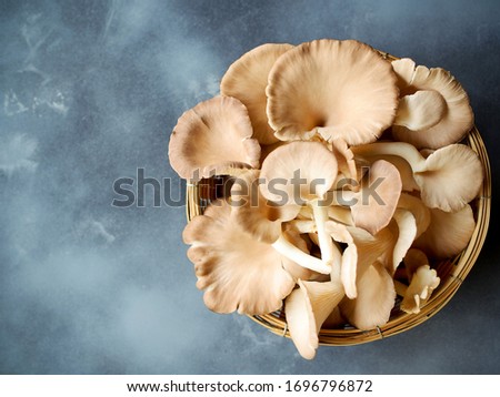 Indian oyster or lung oyster mushroom in bamboo basket top view on grey background with copy space on the left side of the picture.