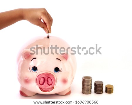 Pink fat pig piggy bank with many silver coins lined up on the white background,soft focus