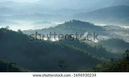 view of forest hills at mountain with misty