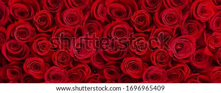 red roses   bouquet festive  background  with gold elements and gift box ,template greetings card banner For festive  Valentine day wishes and Women day 
