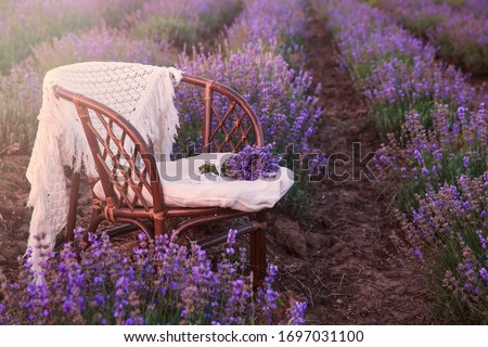 Original wedding decoration in lavender flowers. Sunset in the lavender garden, silence, peace, cozy, hygge. Rattan chair with plaid, nobody. Aromatherapy for lovers
