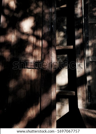 shade of shadow on window wooden from a tree.