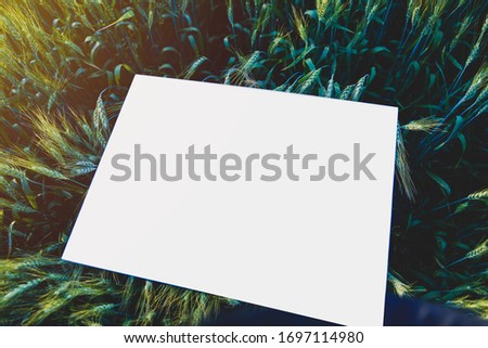 blank poster in indian wheat field