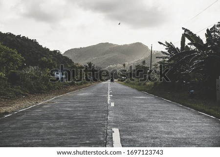 Jungle road on a tropical island. Royalty-Free Stock Photo #1697123743