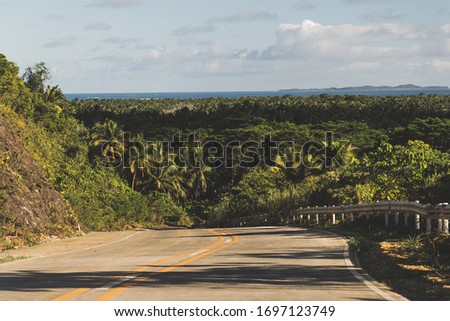 Jungle road on a tropical island. Royalty-Free Stock Photo #1697123749
