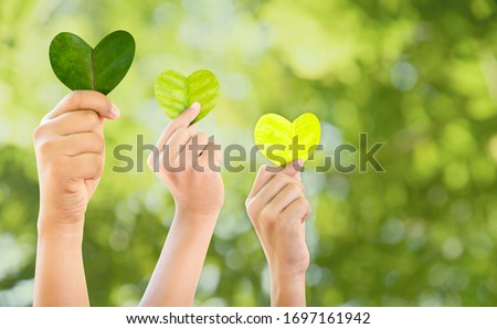 Hands holding green heart shaped tree, planting trees, loving the environment, protecting nature Nourishing the plants World Environment Day To help the world look beautiful, Forest conservation conce Royalty-Free Stock Photo #1697161942