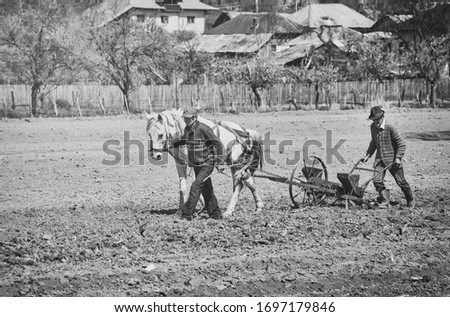 Farmers with horse-drawn drill working the field. Horse-drawn seed drill at work. Vintage picture.