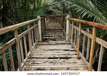 damaged wooden bridge walkway With leaves falling on the bridge