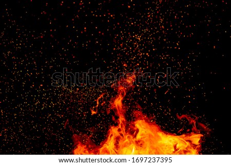 sparks of fire on a black background.  flame of fire with sparks. Burning red hot sparks fly from large fire in the night sky. Beautiful abstract background on the theme of fire, light and life.  Royalty-Free Stock Photo #1697237395