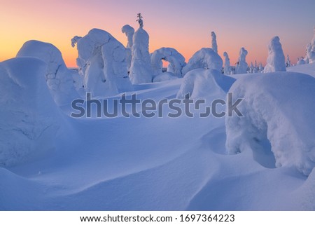 Trees in snow on mountain slopes in Lapland, Finland