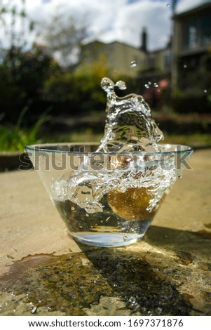 High shutter speed image of a kiwi being dropped into a bowl of water