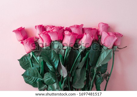 Arrangement of roses on a colored background. Overhead top view, flat lay. Copy space. Birthday, Mother's, Valentines, Women's, Wedding Day concept.