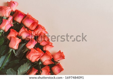 Arrangement of roses on a colored background. Overhead top view, flat lay. Copy space. Birthday, Mother's, Valentines, Women's, Wedding Day concept.