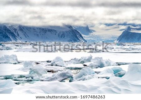 Pack ice in the arctic circle at 80 degrees north, with the mountains and glaciers of Svalbard in the backgound and gulls on the ice in the foreground. Royalty-Free Stock Photo #1697486263