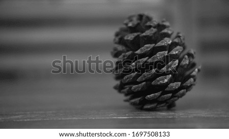 the pine cone on the wooden table