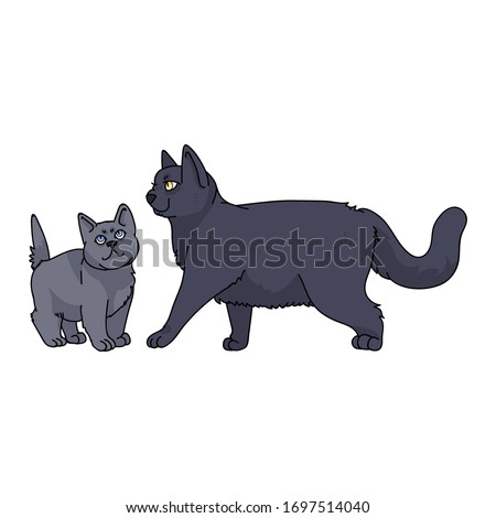 Cute cartoon British shorthair cat and kitten vector clipart. Pedigree kitty breed for cat lovers. Purebred domestic kitten for pet parlor illustration mascot. Isolated feline housecat. EPS 10.
