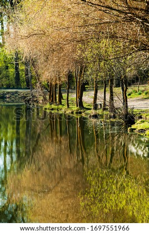 Picture of a lake and trees with colorful leaves on an evening in spring in Moldova. rural landscape. Summer green forest lake view. Lake water reflection. Lake in forest.