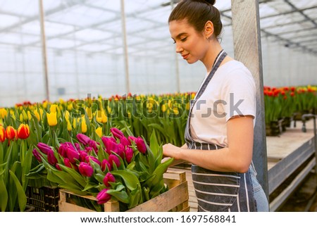 Beautiful young smiling girl, worker with tulip flowers in greenhouse. Concept work in the greenhouse, flowers. Copy space – stock image