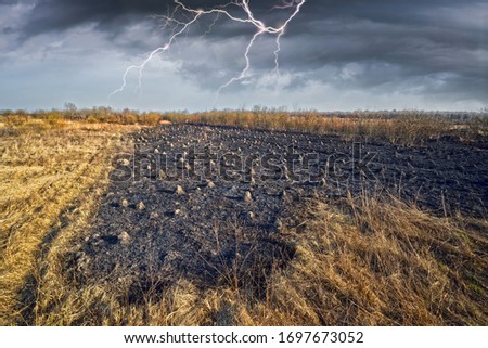 Arson of dry grass leads to mass fires, death in the flame of plants and animals, birds, destruction of anthill houses. The air is poisonous, carcinogens. lightning, thunderstorm.

