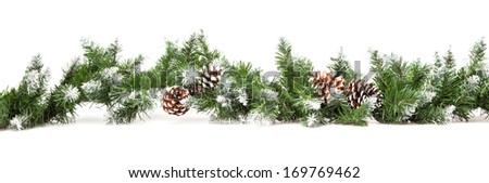 Decorative border from a Christmas tree branches isolated