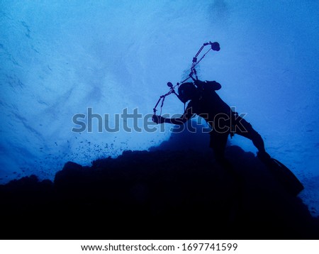 Silhouette diver on the front of coral reef. Underwater silhouette picture. Underwater photographer.