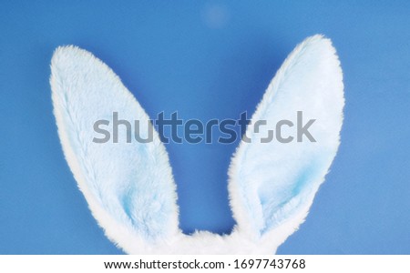 Fluffy ears of a rabbit on a blue background. Easter concept. Copy space