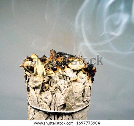 Burning white sage smudge stick ,white smoke