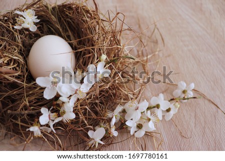 Photo of egg in nest decorated with blossoms of tree