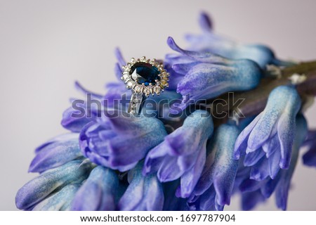 Macro picture of white gold engagement ring with big oval blue sapphire with diamonds placed on blue and violet blooming hyacinth 