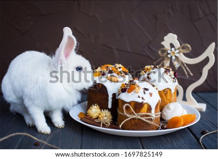 blue-eyed white rabbit looking at a plate with Easter cakes on a blue wooden background and with a blurred brown wooden background