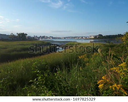 View of the swampy Fore River estuary in South Portland 
