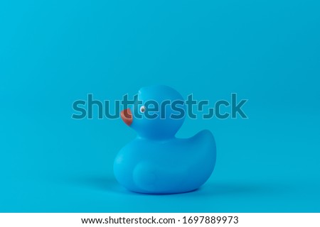 Blue rubber duck on blue background. Summer minimal concept.