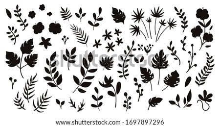 Vector tropical flowers leaves and twigs silhouettes. Jungle foliage and florals black illustration. Hand drawn flat exotic plants isolated on white background. Summer greenery shadows for children