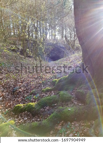 nature reserve, hollow cave near Horn-Bad Meinberg