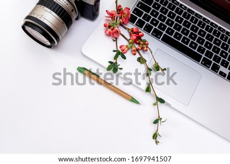 Beautiful blooming flowers of apple tree, camera and a laptop on the white background. Work in the office, business concept stay at home.