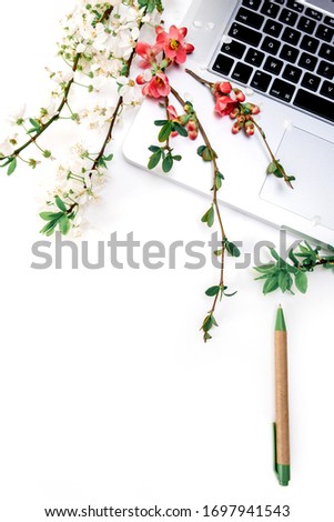 Beautiful blooming flowers of apple tree, pen and a laptop on the white background. Work in the office, business concept stay at home.