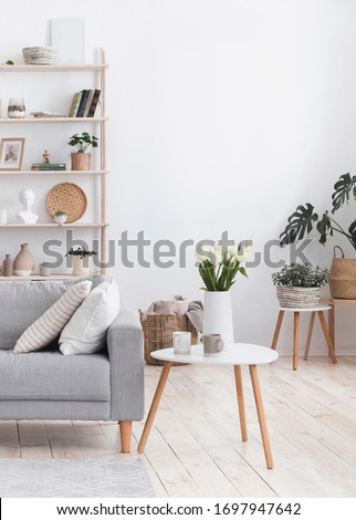 Modern Living Room Interior Design With Comfortable Sofa, Coffee Table And Plants, Cropped Image With Copy Space Royalty-Free Stock Photo #1697947642