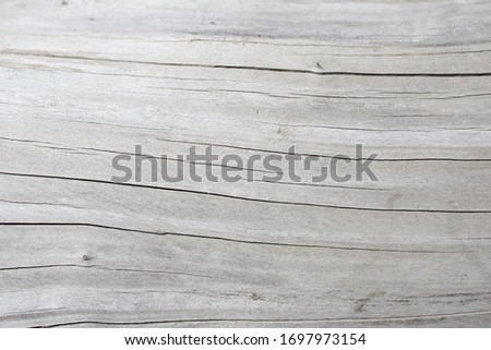 Photo of a tree trunk cleared of bark. Photo without processing. The natural color of the tree under the influence of the environment. Variant of gray calm tone. Scope of use - all types of design.
