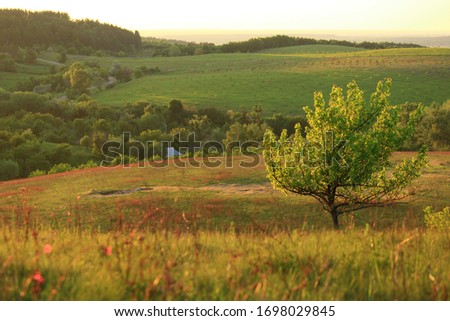 Scenic meadow with green and yellow landscape during summer reminds of countryside