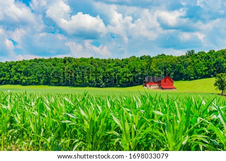 Corn fields are bright green in the spring in the Indiana farm area. A red barn sits in the middle of the meadow surrounded by trees and crops. Royalty-Free Stock Photo #1698033079
